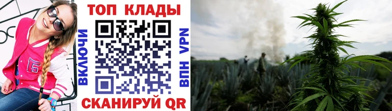 Виды наркотиков купить Россошь МАРИХУАНА МЕФ Псилоцибиновые грибы ГАШИШ