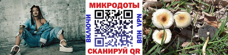 Псилоцибиновые грибы Cubensis  где найти наркотики  Россошь 