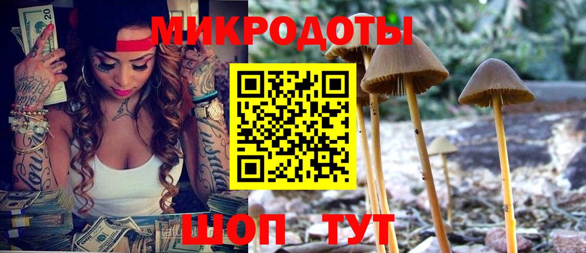 Галлюциногенные грибы прущие грибы Россошь
