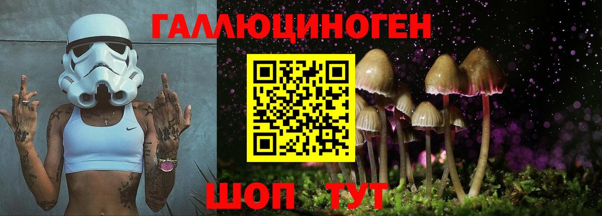 Россошь  Псилоцибиновые грибы GOLDEN TEACHER  Вход с VPN  Псилоцибиновые грибы Magic Shrooms 
